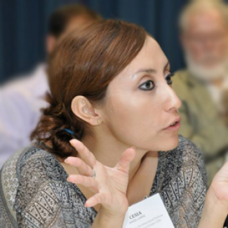 Cesia-Lopez Angel, Enterprise Rose Architectural Fellow 2013-2015 Cesia-Lopez Angel, Enterprise Rose Architectural Fellow 2013-2015