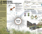 Wild Waters: Creating Habitat in Urban Waterways, Anne Denney, student, Kansas State University, Manhattan, KS (T126)